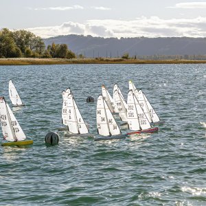 swisscup df95 22 10 2023